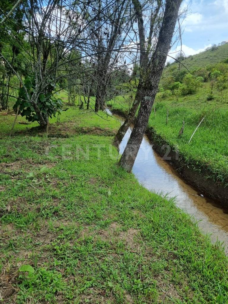 Land in Cuchillas de san jose for Sale - 4
