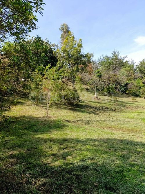 Lote en venta en Cuchillas De San Jose, Rionegro, 6763 m² · foto 5 de 13