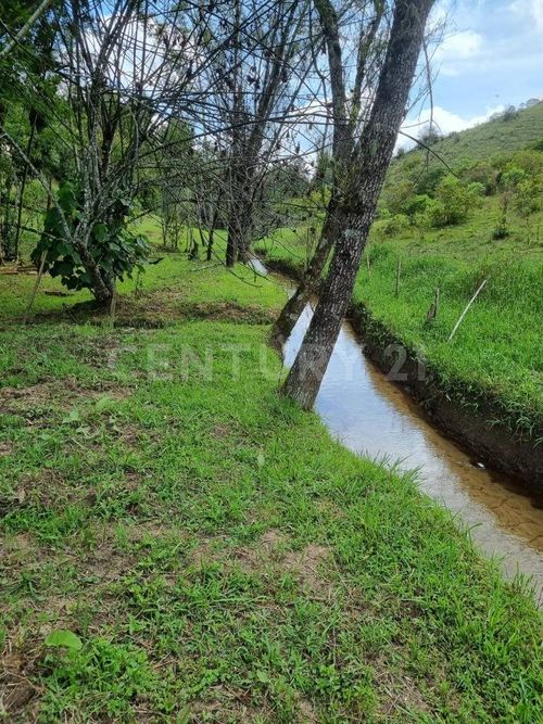Lote en venta en Cuchillas De San Jose, Rionegro, 6763 m² · foto 7 de 13