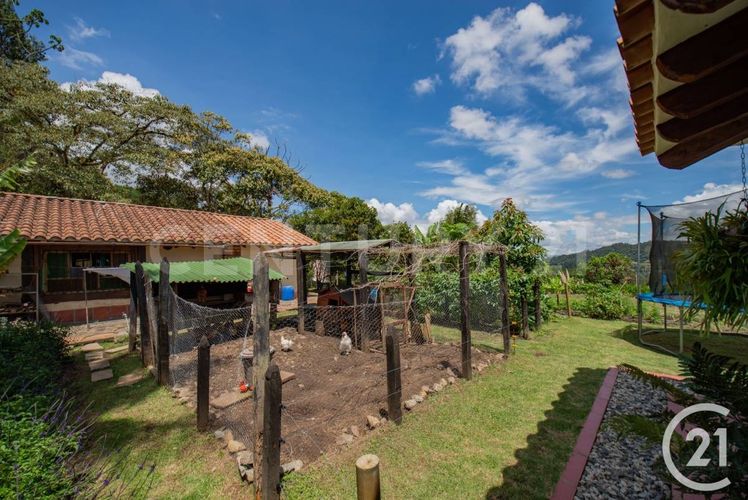 Finca en venta en Don Diego, Rionegro, 420 m² · foto 14 de 18