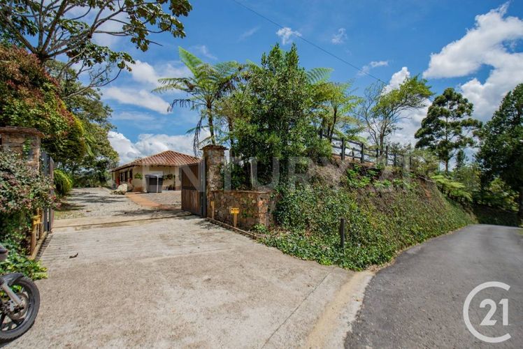 Finca en venta en Don Diego, Rionegro, 420 m² · foto 15 de 18