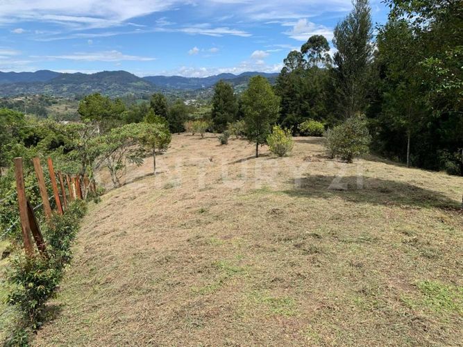 Lote en venta en Llano Grande, Rionegro, 5000 m² · foto 2 de 6