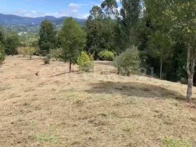 Lote en venta en Llano Grande, Rionegro, 5000 m² · foto 3 de 6