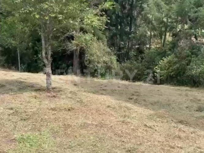 Lote en venta en Llano Grande, Rionegro, 5000 m² · foto 4 de 6