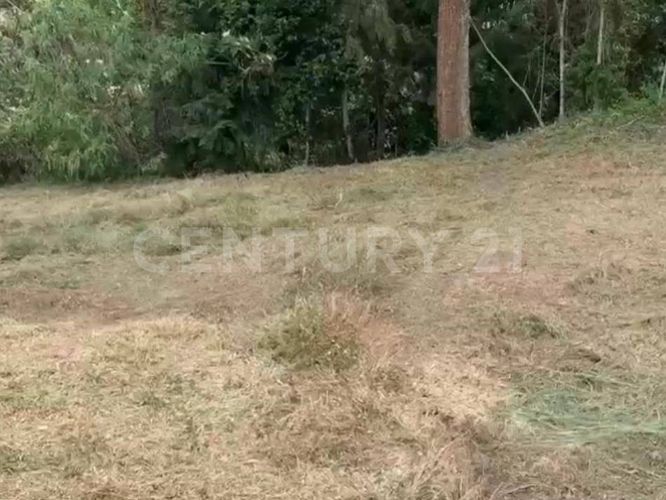 Lote en venta en Llano Grande, Rionegro, 5000 m² · foto 5 de 6