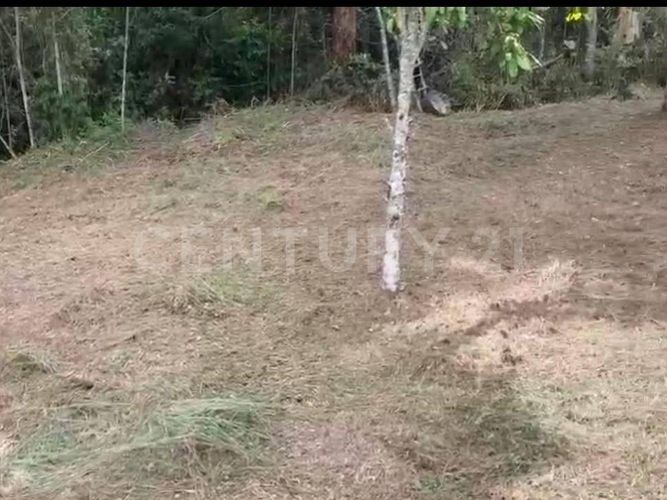 Lote en venta en Llano Grande, Rionegro, 5000 m² · foto 6 de 6