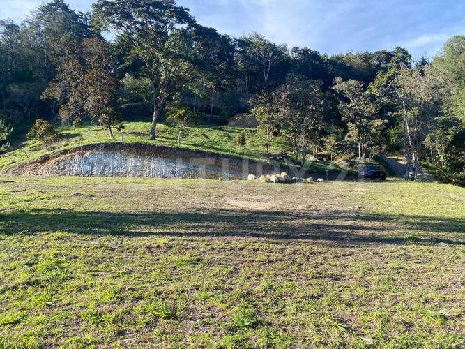 Lote en venta en Guayabito, Rionegro, 5000 m² · foto 3 de 9