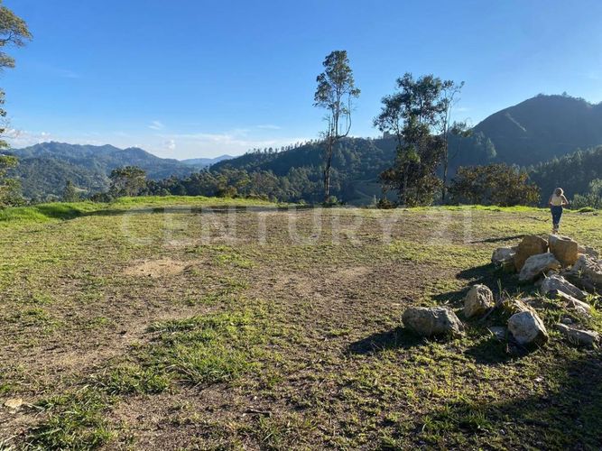 Lote en venta en Guayabito, Rionegro, 5000 m² · foto 4 de 9