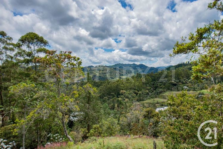Lote en venta en Guayabito, Rionegro, 5000 m² · foto 5 de 9