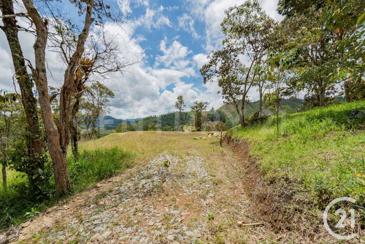 Lote en venta en Guayabito, Rionegro, 5000 m² · foto 7 de 9