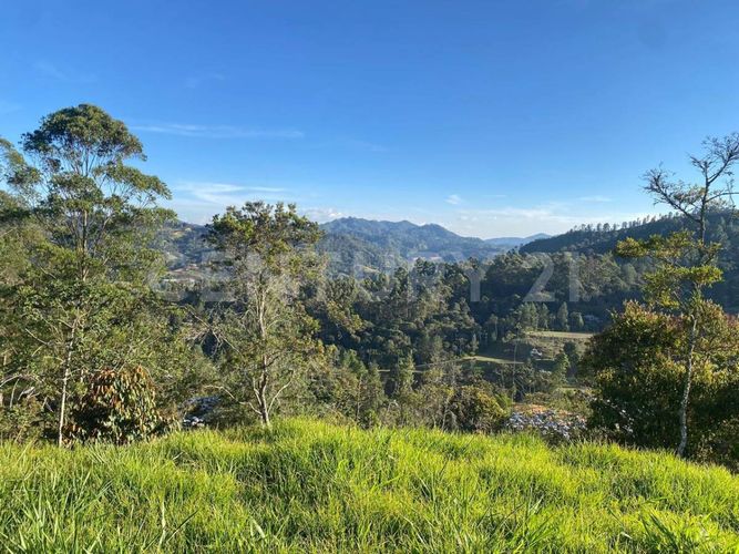 Lote en venta en Guayabito, Rionegro, 5000 m² · foto 8 de 9