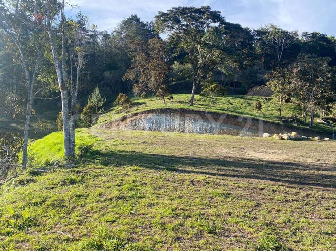 Lote en venta en Guayabito, Rionegro, 5000 m² · foto 9 de 9