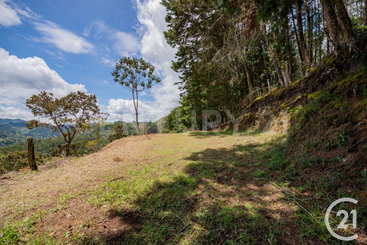 Land in Vía Las Palmas (5000 m²) for Sale
