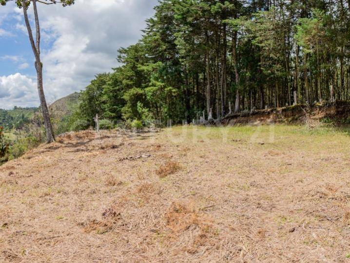 Land in Vía Las Palmas (5000 m²) for Sale - 2