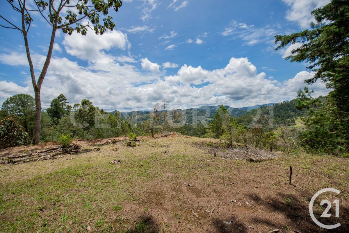 Land in Vía Las Palmas (5000 m²) for Sale - 3
