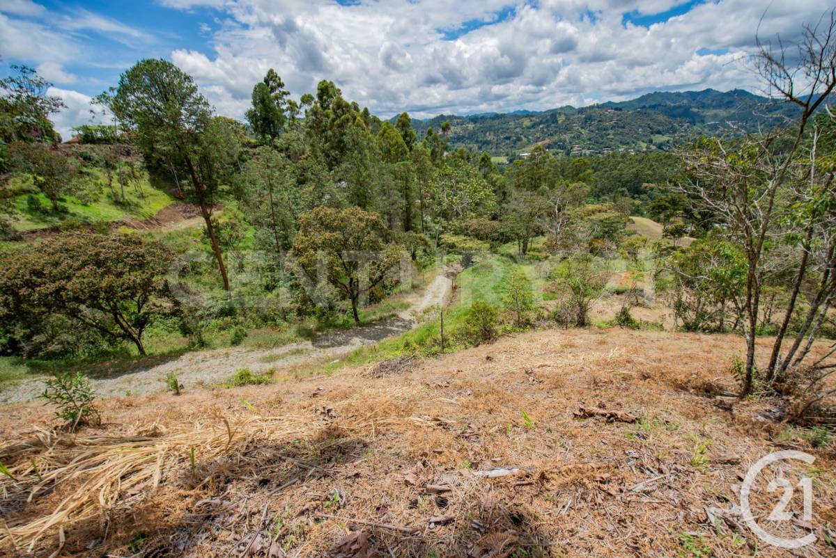 Land in Vía Las Palmas (5000 m²) for Sale - 4
