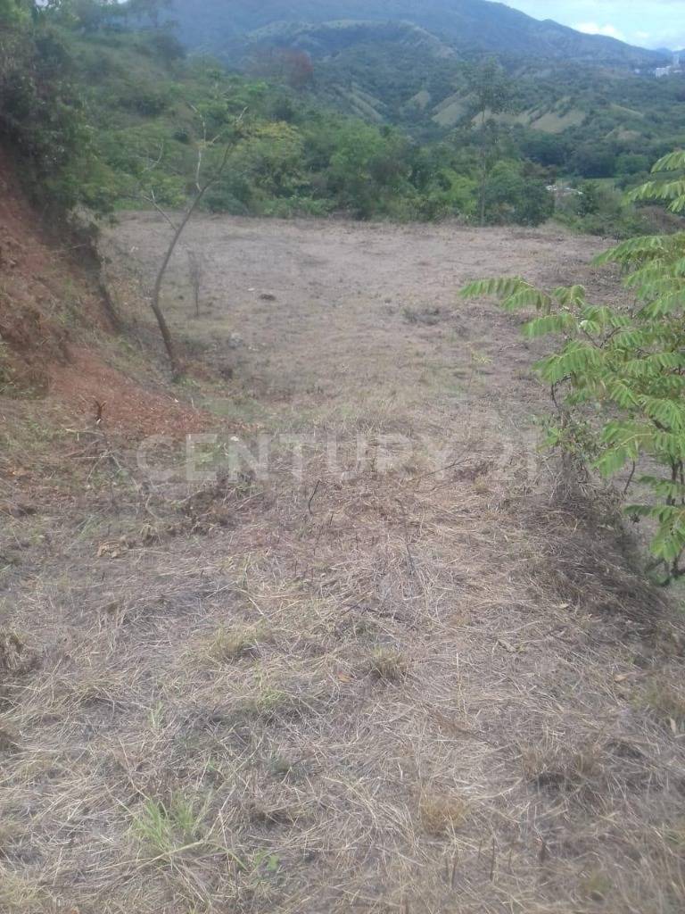 Land in Paso real (3711 m²) for Sale - 4