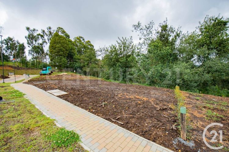 Lote en venta en Vía Las Palmas, Envigado, 340 m² · foto 3 de 14