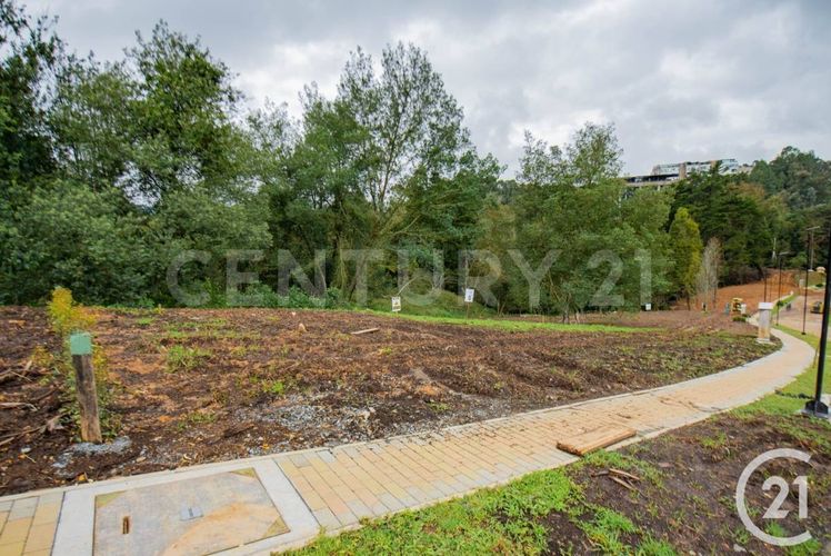 Lote en venta en Vía Las Palmas, Envigado, 340 m² · foto 13 de 14