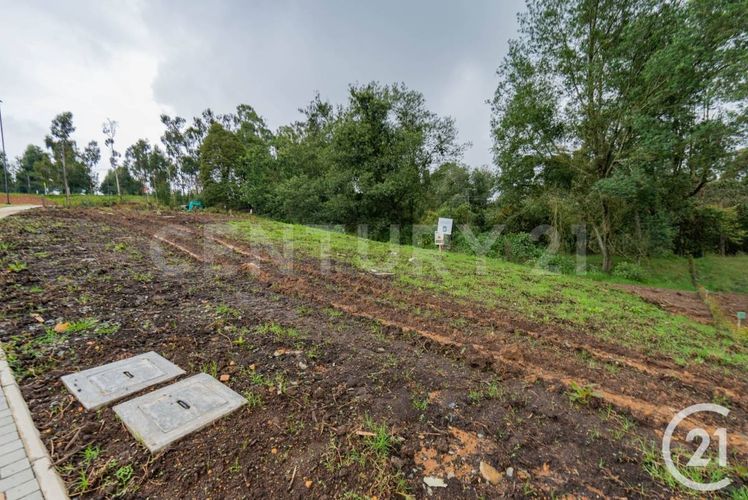 Lote en venta en Vía Las Palmas, Envigado, 340 m² · foto 14 de 14