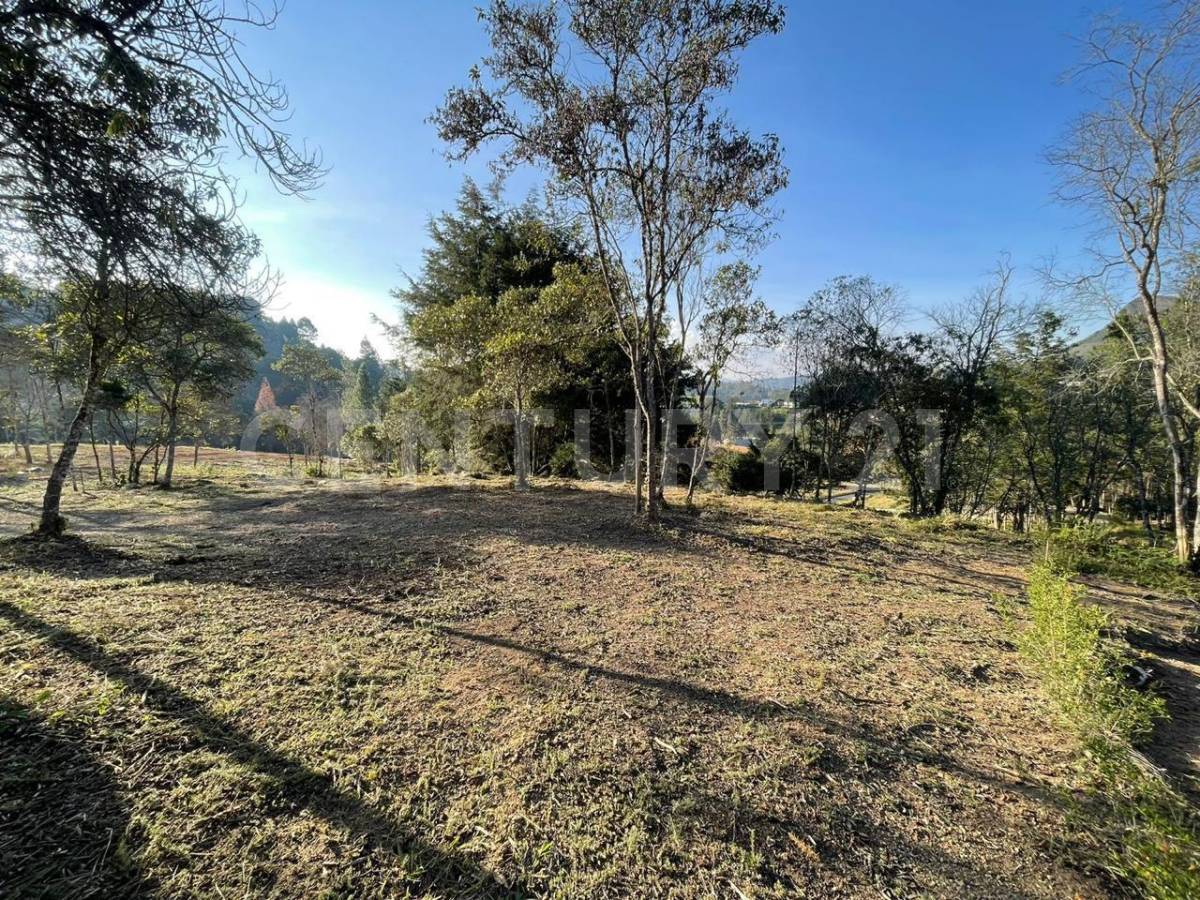 Land in Pantanillo (1787 m²) for Sale