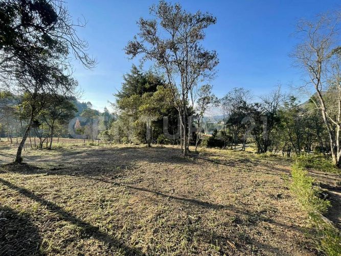 Lote en venta en Pantanillo, El Retiro, 1787 m² · foto 6 de 9