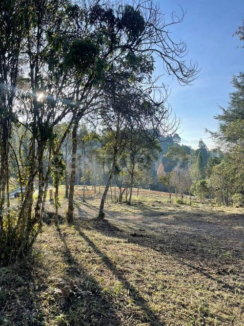 Lote en venta en Pantanillo, El Retiro, 1787 m² · foto 8 de 9