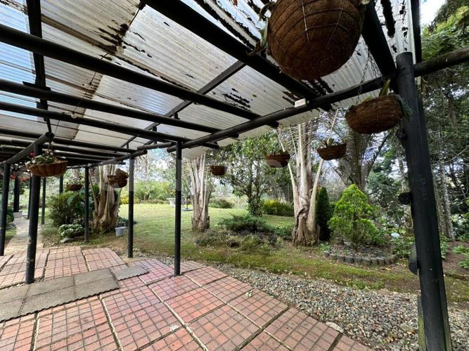 Casa de 5 alcobas en venta en Pantanillo, Envigado, 320 m² · foto 20 de 22