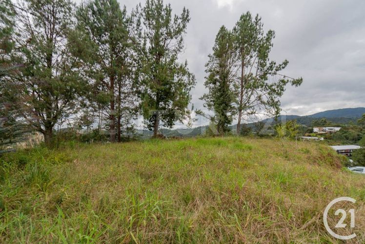 Lote en venta en Las Palmas, Envigado, 1650 m² · foto 3 de 14
