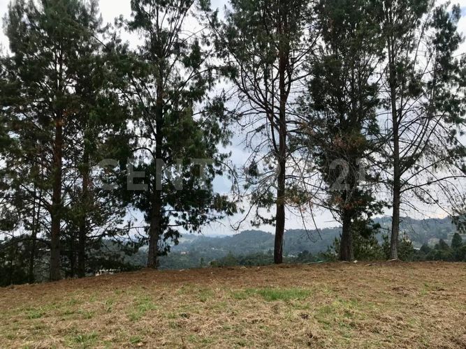 Lote en venta en Las Palmas, Envigado, 1650 m² · foto 6 de 14