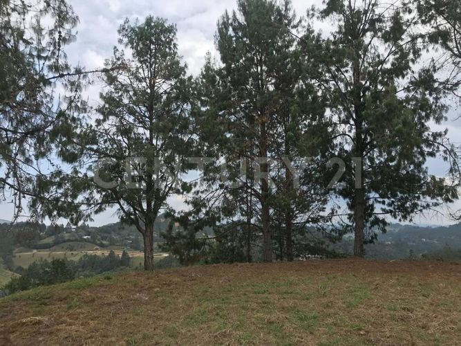 Lote en venta en Las Palmas, Envigado, 1650 m² · foto 7 de 14