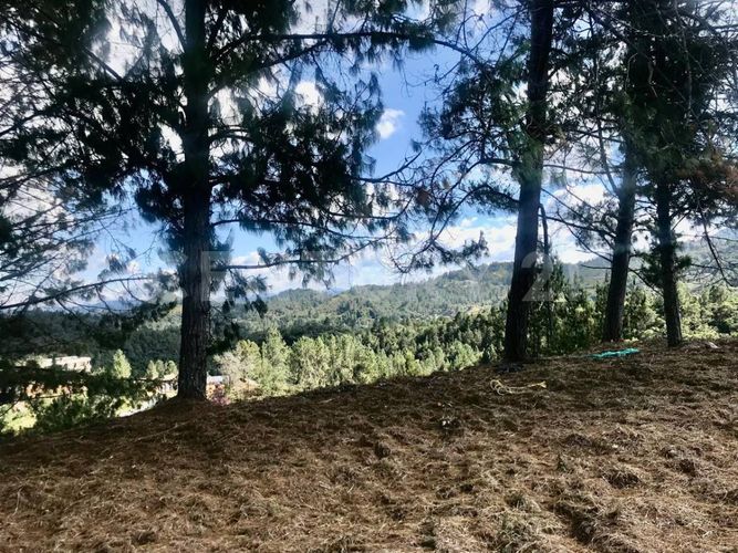Lote en venta en Las Palmas, Envigado, 1650 m² · foto 8 de 14