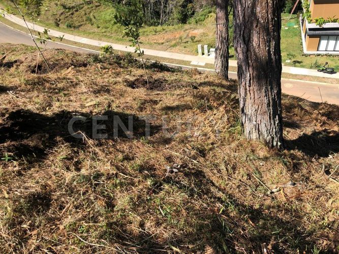 Lote en venta en Las Palmas, Envigado, 1650 m² · foto 11 de 14