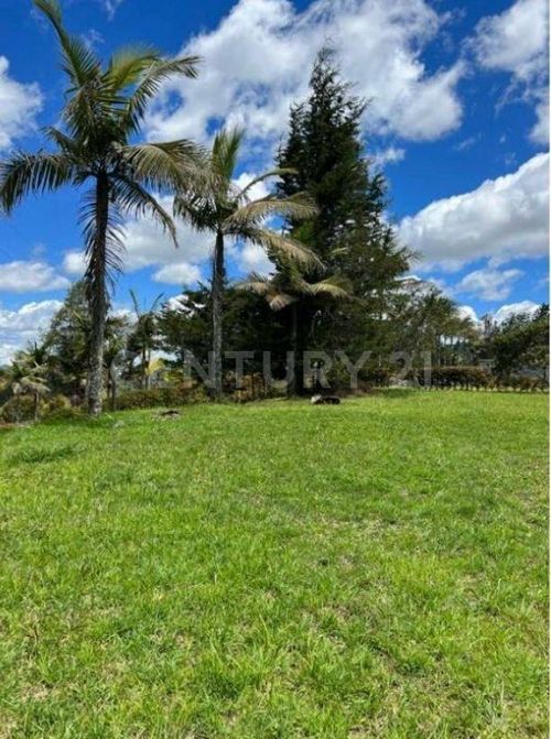 Lote en venta en Perico, Envigado, 3313 m² · foto 9 de 17