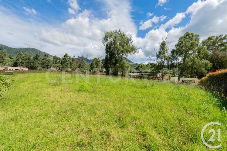Lote en venta en Guamito, La Ceja, 2004 m² · foto 2 de 10