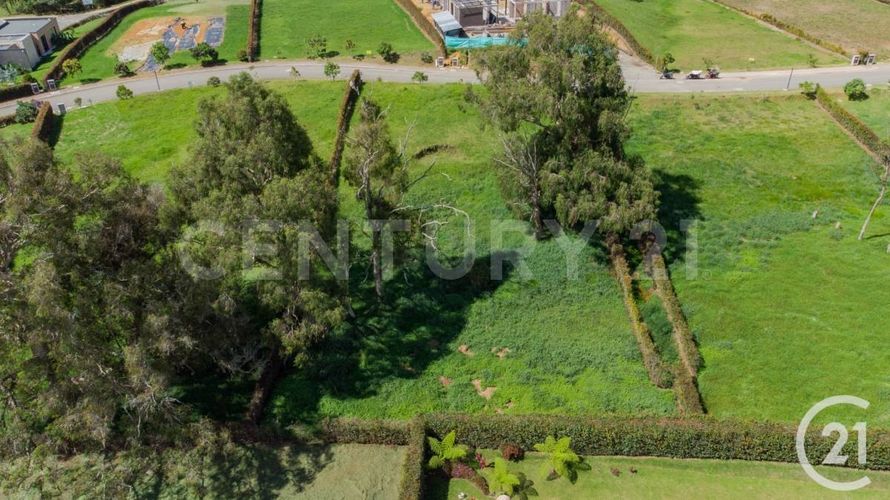 Lote en venta en Guamito, La Ceja, 2004 m² · foto 10 de 10