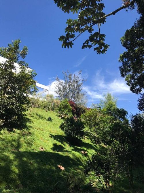 Finca en venta en La Clara, Guarne, 320 m² · foto 9 de 24