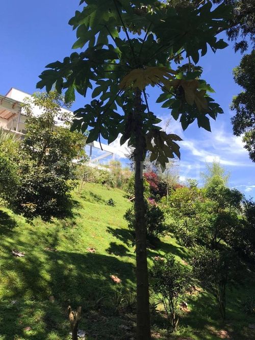 Finca en venta en La Clara, Guarne, 320 m² · foto 14 de 24