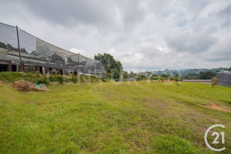 Lote en venta en Vía Las Palmas, Envigado, 1560 m² · foto 4 de 10