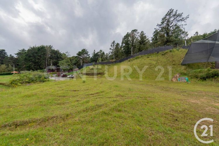 Lote en venta en Vía Las Palmas, Envigado, 1560 m² · foto 7 de 10