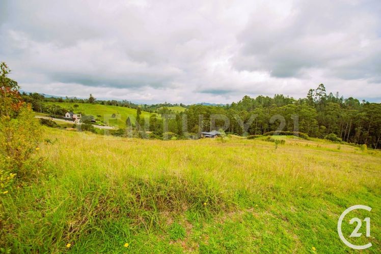 Lote en venta en Pantanillo, El Retiro, 2106 m² · foto 2 de 17