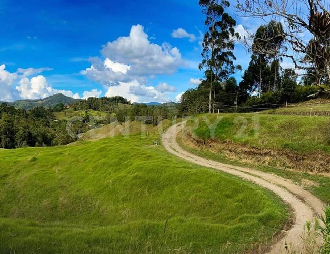 Lote en venta en Pantanillo, El Retiro, 2106 m² · foto 7 de 17