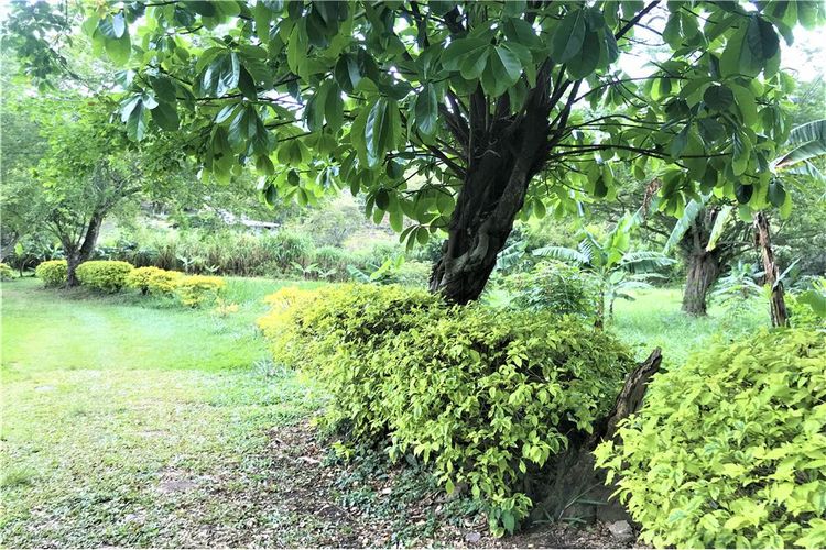 Casa de 5 alcobas en venta en Montebello, Cali, 250 m² · foto 4 de 24