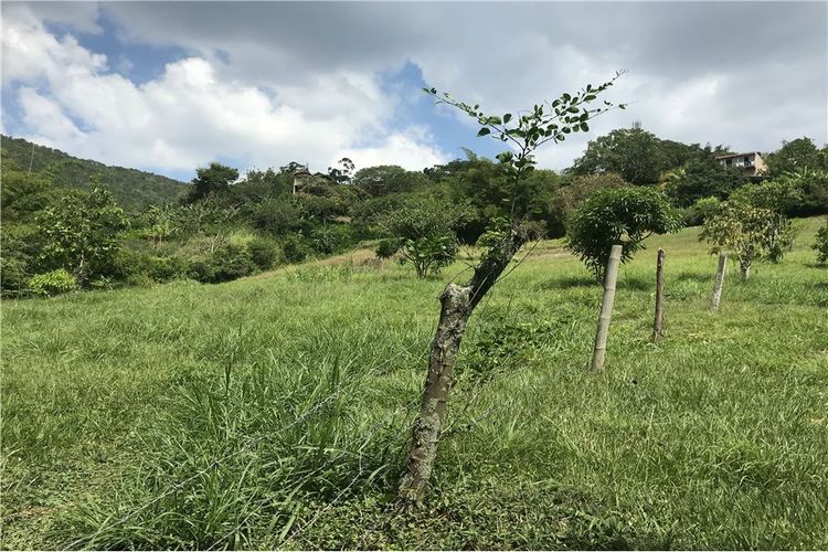 Casa de 5 alcobas en venta en Montebello, Cali, 250 m² · foto 15 de 24