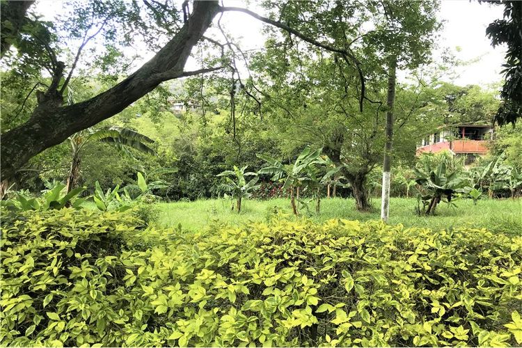 Casa de 5 alcobas en venta en Montebello, Cali, 250 m² · foto 20 de 24