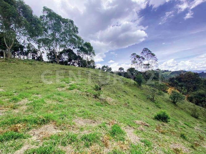 Lote en venta en La Quiebra, Rionegro, 830 m² · foto 4 de 15