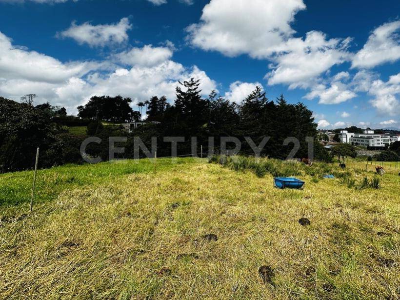 Land in Las Palmas for Sale - 3