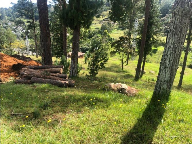 Lote en venta en San Nicolas, La Ceja, 6573 m² · foto 5 de 13