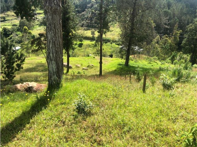 Lote en venta en San Nicolas, La Ceja, 6573 m² · foto 7 de 13