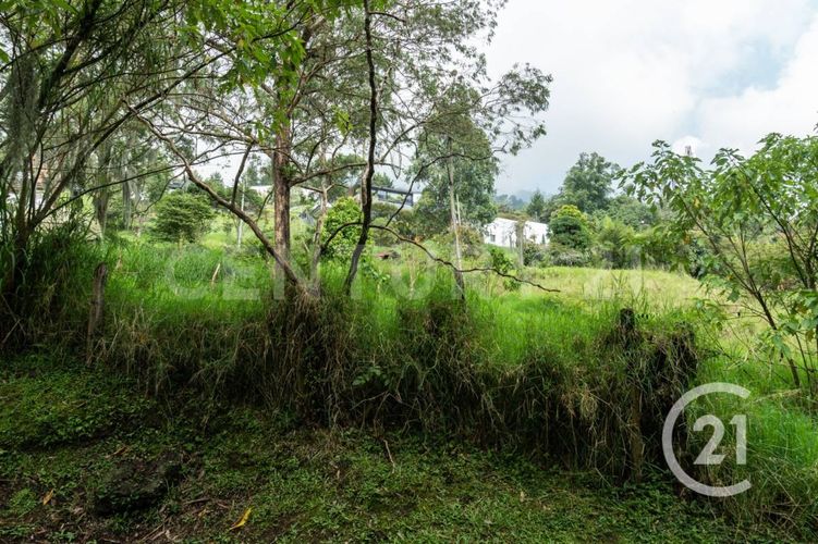 Lote en venta en Los Balsos, Medellín, 600 m² · foto 16 de 21